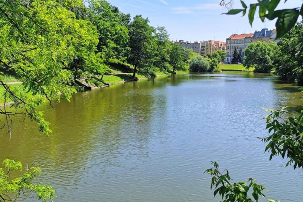Parkowy Apartament Apartment Wroclaw Luaran gambar