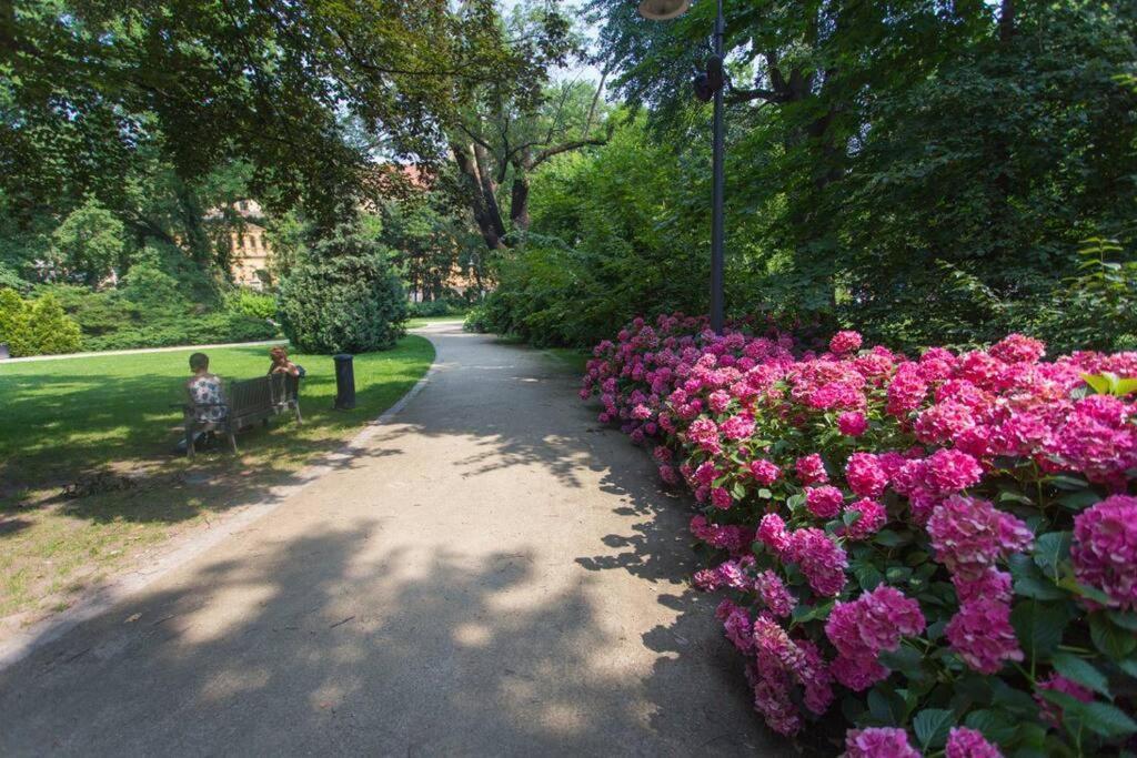 Parkowy Apartament Apartment Wroclaw Luaran gambar